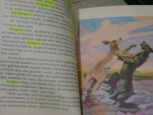 Kitaptaki hayvan adlarını çizmişim, nedense...