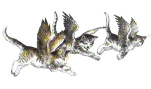 kanatlı kediler masalı