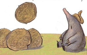 "...gübrelere derin bir hayranlıkla baktı"